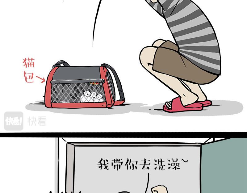 🍘吾皇巴扎黑 第319话 交稿了吗？ 第19页