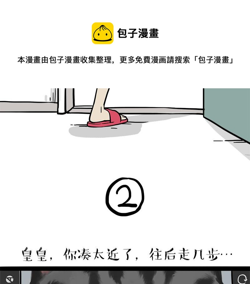 🍘吾皇巴扎黑 第319话 交稿了吗？ 第21页