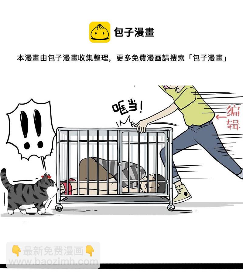 🍘吾皇巴扎黑 第319话 交稿了吗？ 第33页