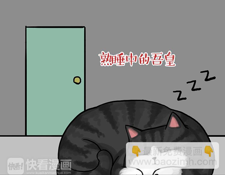 🍘吾皇巴扎黑 第33话 洗猫的少年总是孤独的 第30页