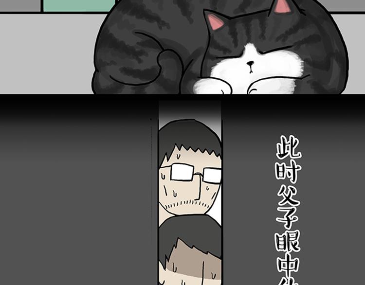 🍘吾皇巴扎黑 第33话 洗猫的少年总是孤独的 第32页