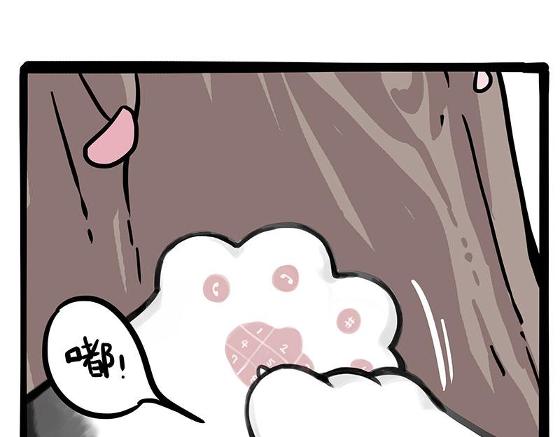 🍘吾皇巴扎黑 第323话 春日恋情？！ 第17页