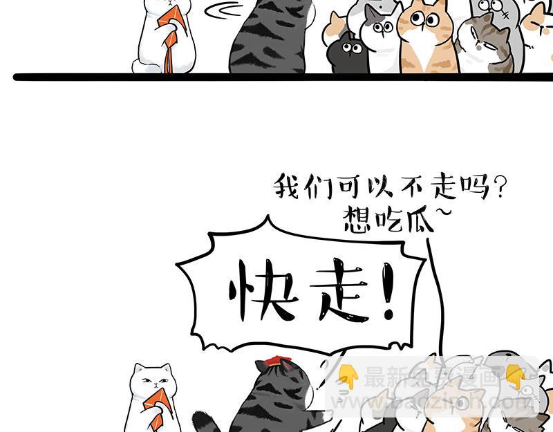 🍘吾皇巴扎黑 第323话 春日恋情？！ 第26页