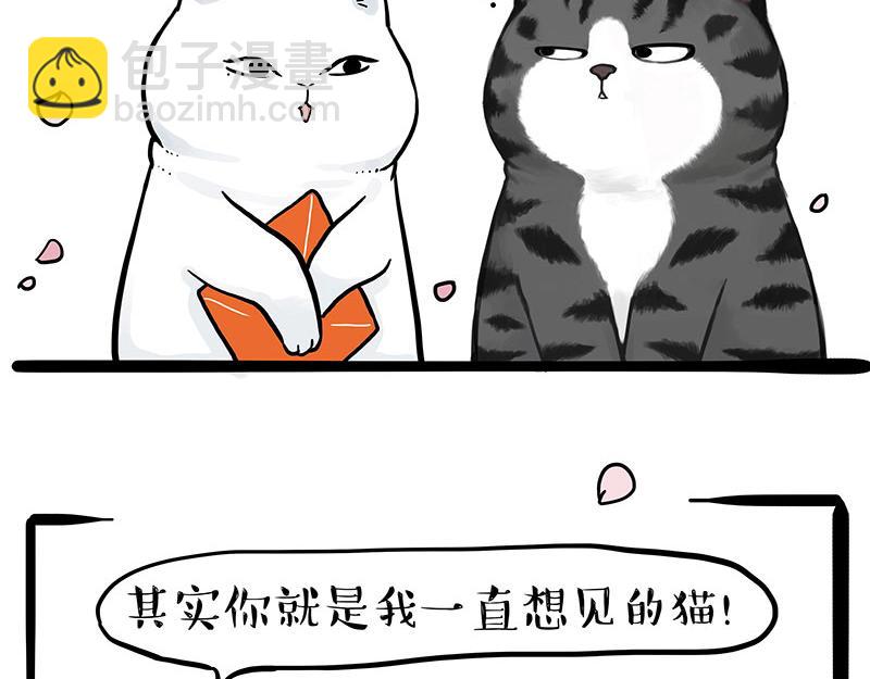 🍘吾皇巴扎黑 第323话 春日恋情？！ 第29页