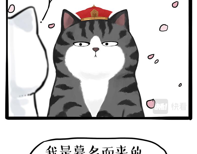 🍘吾皇巴扎黑 第323话 春日恋情？！ 第30页