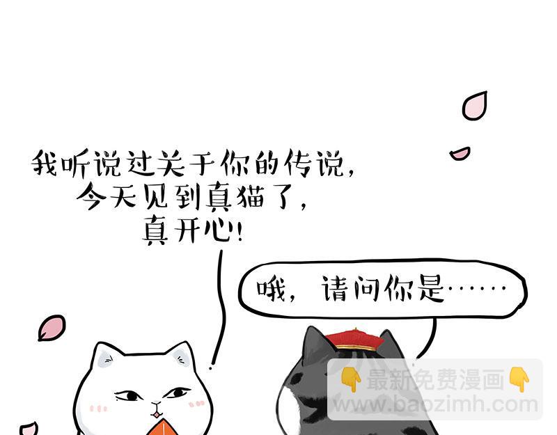 🍘吾皇巴扎黑 第323话 春日恋情？！ 第33页