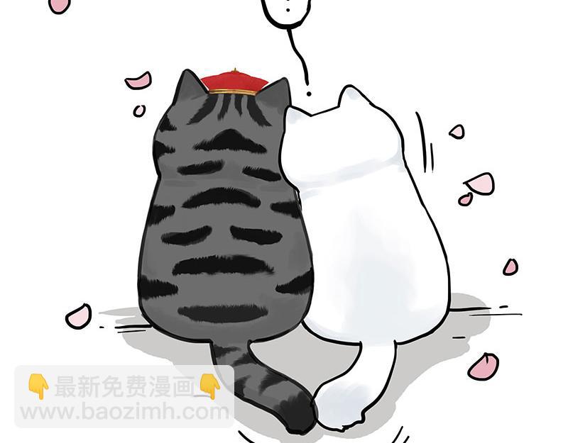 🍘吾皇巴扎黑 第323话 春日恋情？！ 第44页