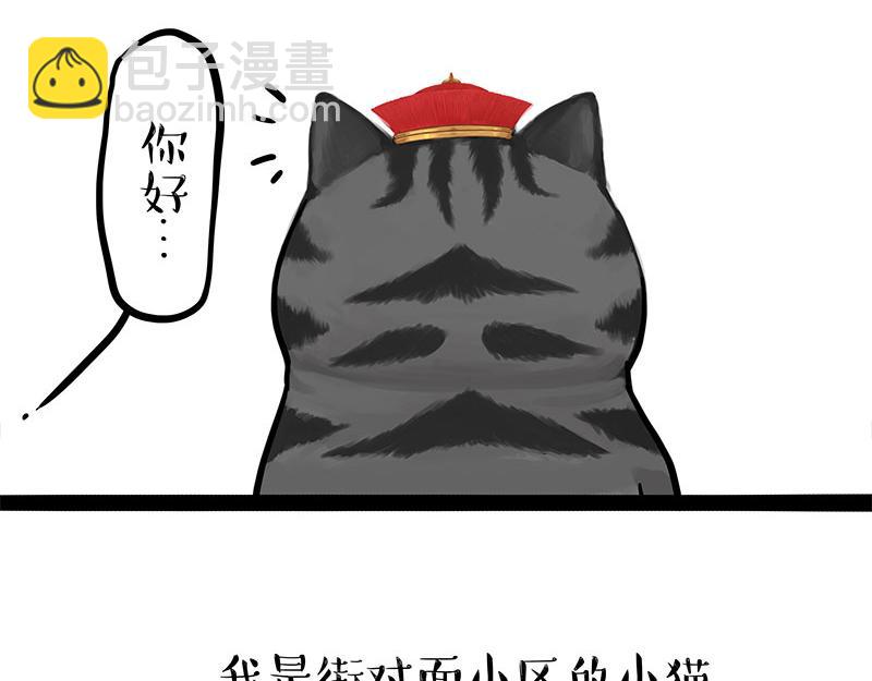 🍘吾皇巴扎黑 第323话 春日恋情？！ 第5页