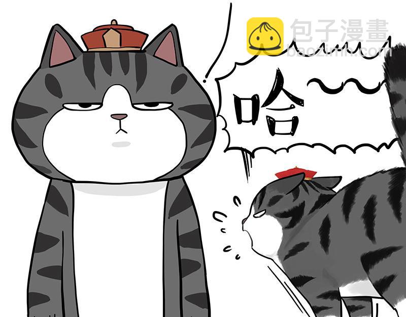🍘吾皇巴扎黑 第325话 你不守猫德 第10页