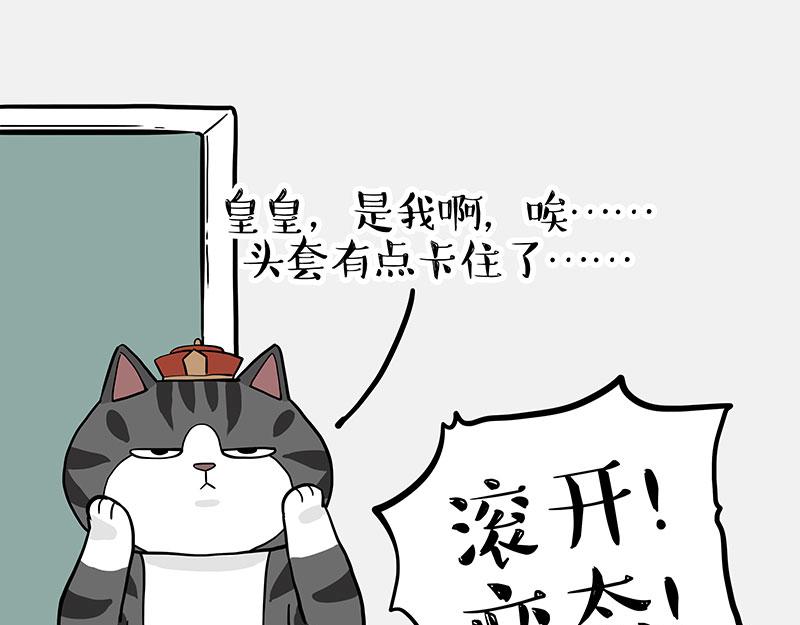 🍘吾皇巴扎黑 第325话 你不守猫德 第17页