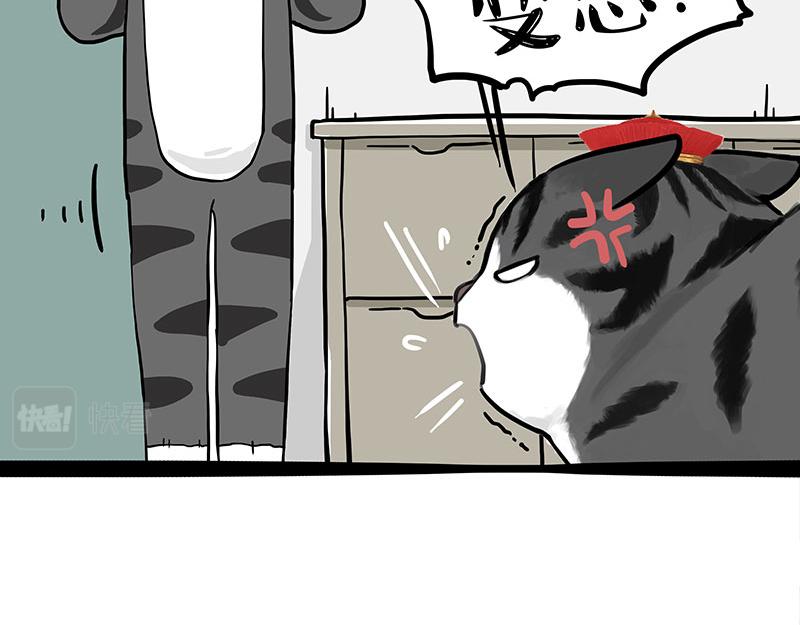 🍘吾皇巴扎黑 第325话 你不守猫德 第18页