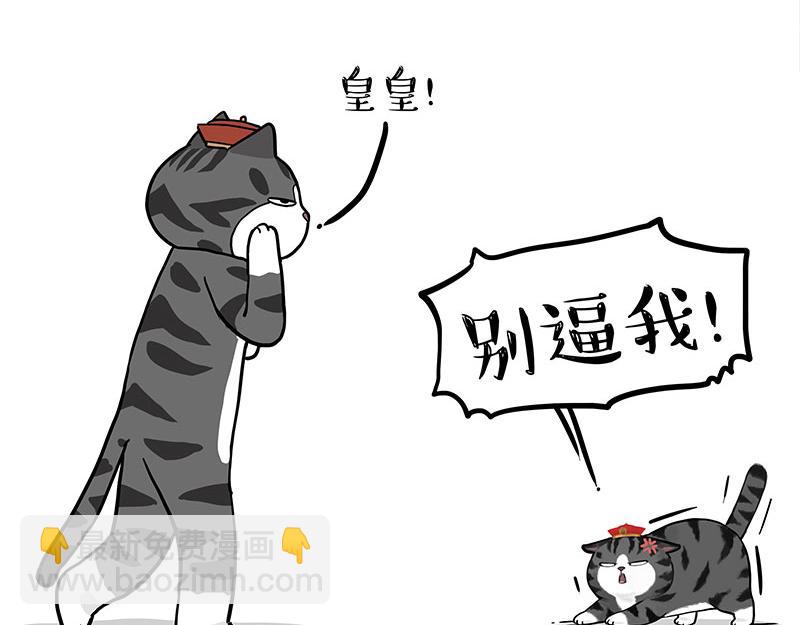 🍘吾皇巴扎黑 第325话 你不守猫德 第19页