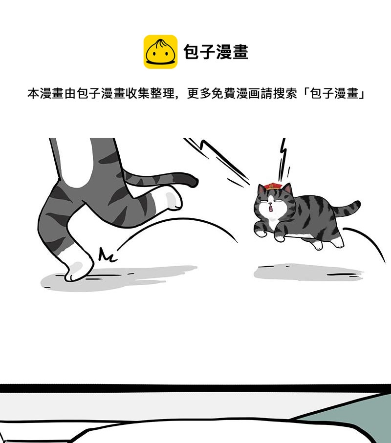 🍘吾皇巴扎黑 第325话 你不守猫德 第21页
