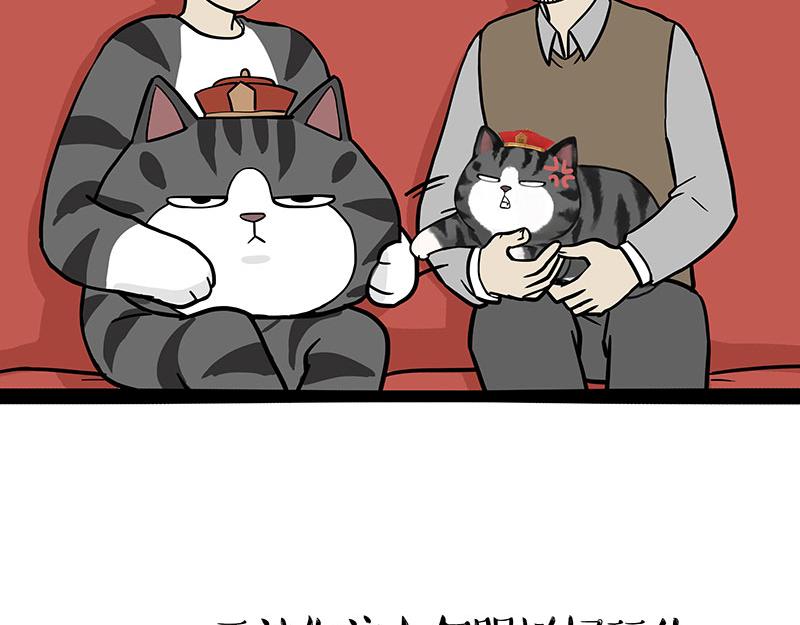 🍘吾皇巴扎黑 第325话 你不守猫德 第35页