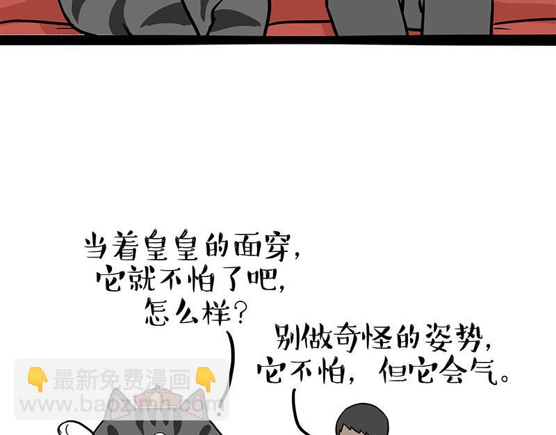 🍘吾皇巴扎黑 第325话 你不守猫德 第37页