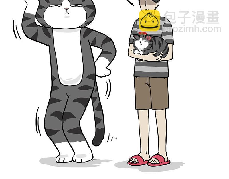 🍘吾皇巴扎黑 第325话 你不守猫德 第38页