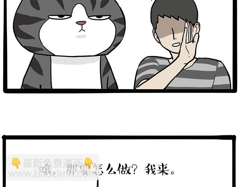 🍘吾皇巴扎黑 第325话 你不守猫德 第40页