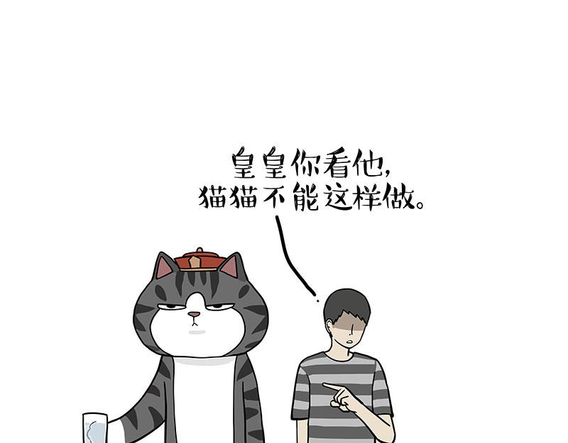 🍘吾皇巴扎黑 第325话 你不守猫德 第42页