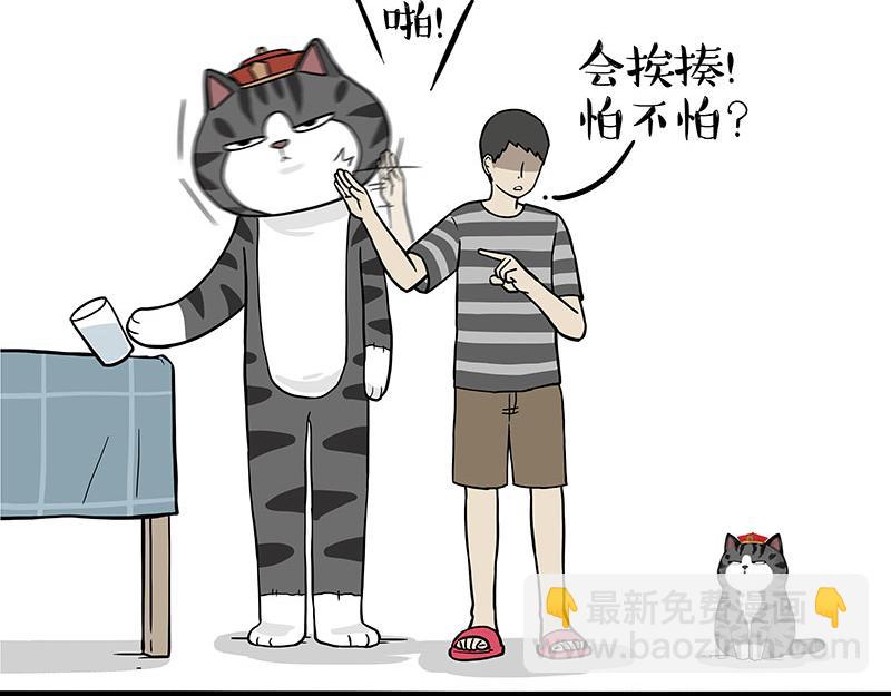 🍘吾皇巴扎黑 第325话 你不守猫德 第44页