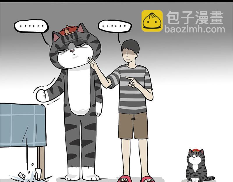 🍘吾皇巴扎黑 第325话 你不守猫德 第45页
