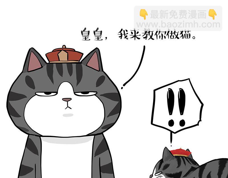🍘吾皇巴扎黑 第325话 你不守猫德 第7页