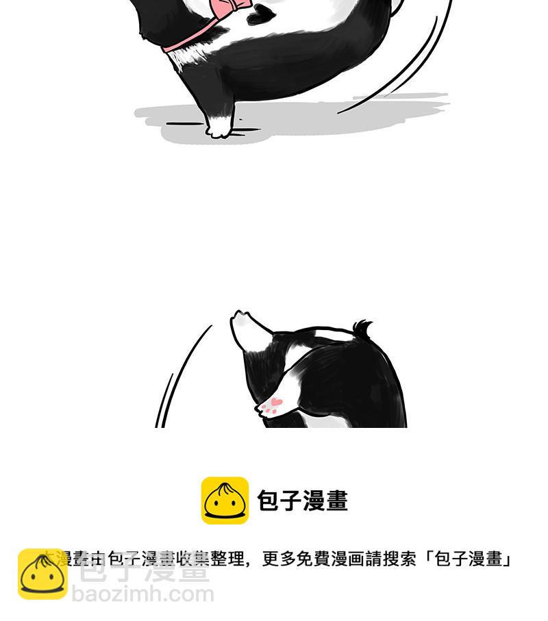 🍘吾皇巴扎黑 第327话 TA眼中的你 第11页