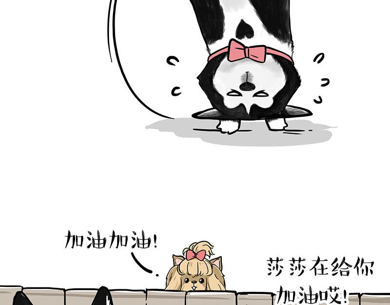 🍘吾皇巴扎黑 第327话 TA眼中的你 第12页