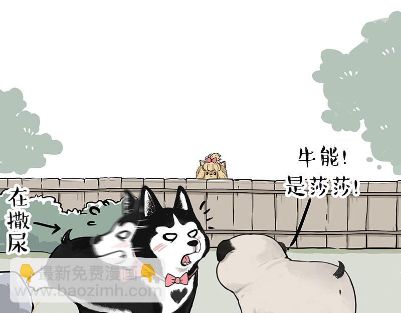 🍘吾皇巴扎黑 第327话 TA眼中的你 第7页