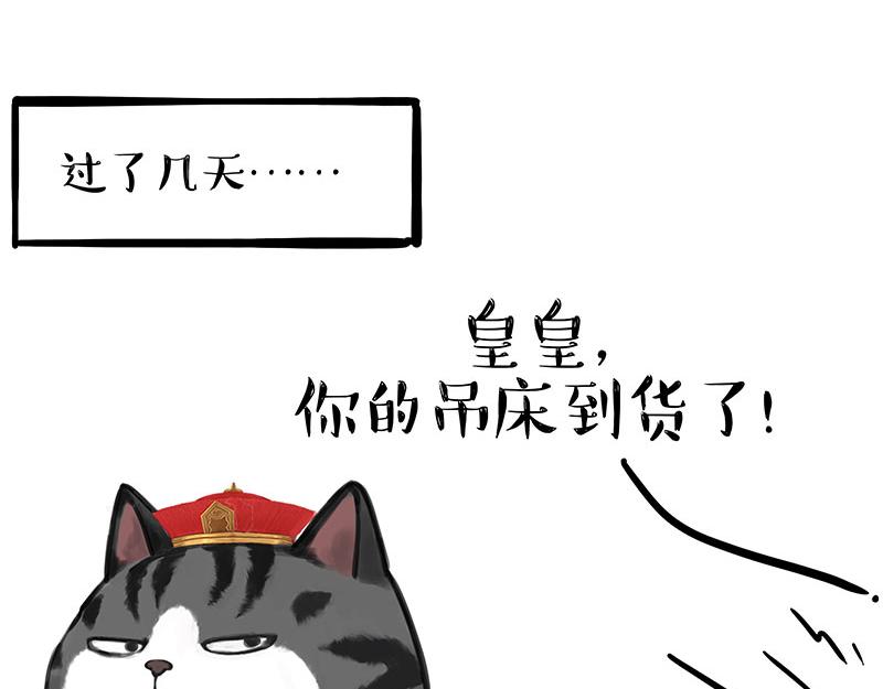 🍘吾皇巴扎黑 第329话 今天你锻炼了吗？ 第18页