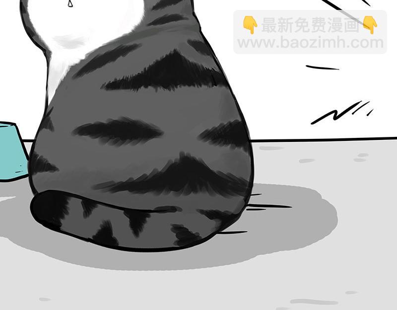 🍘吾皇巴扎黑 第329话 今天你锻炼了吗？ 第19页