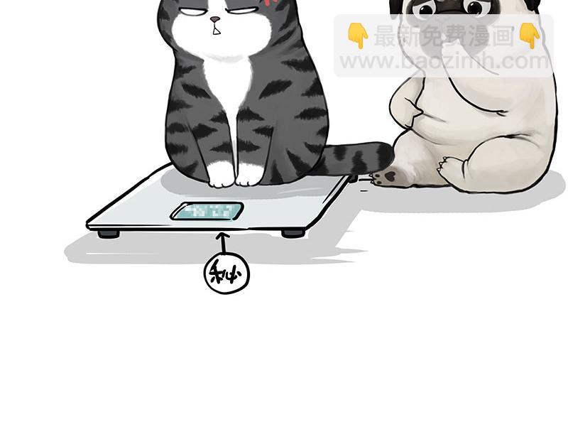 🍘吾皇巴扎黑 第329话 今天你锻炼了吗？ 第6页