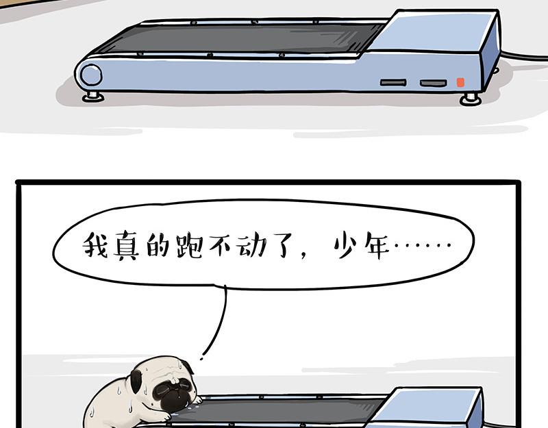 🍘吾皇巴扎黑 第329话 今天你锻炼了吗？ 第9页