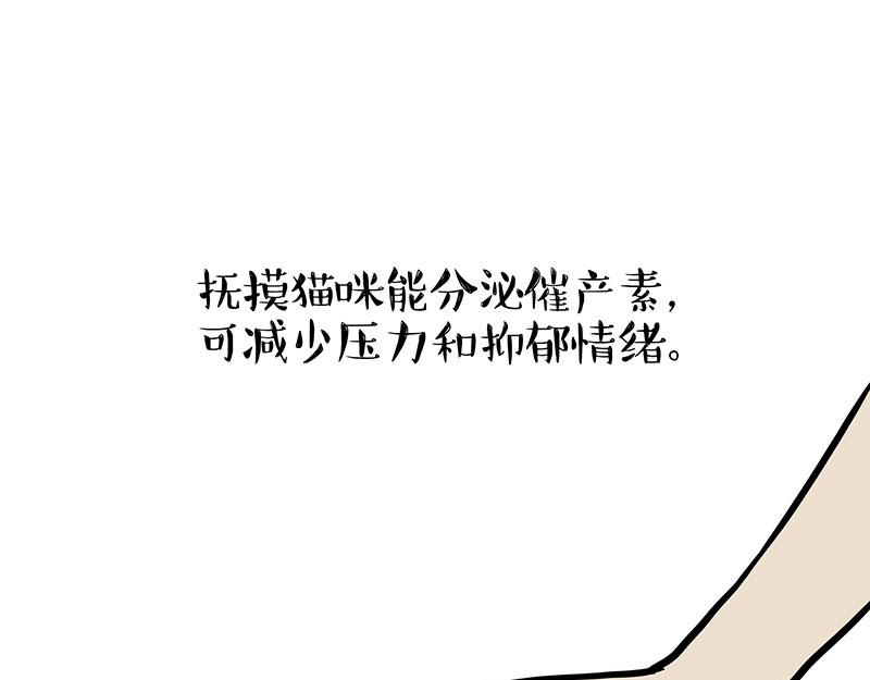 🍘吾皇巴扎黑 第333话 养啥好？ 第1页