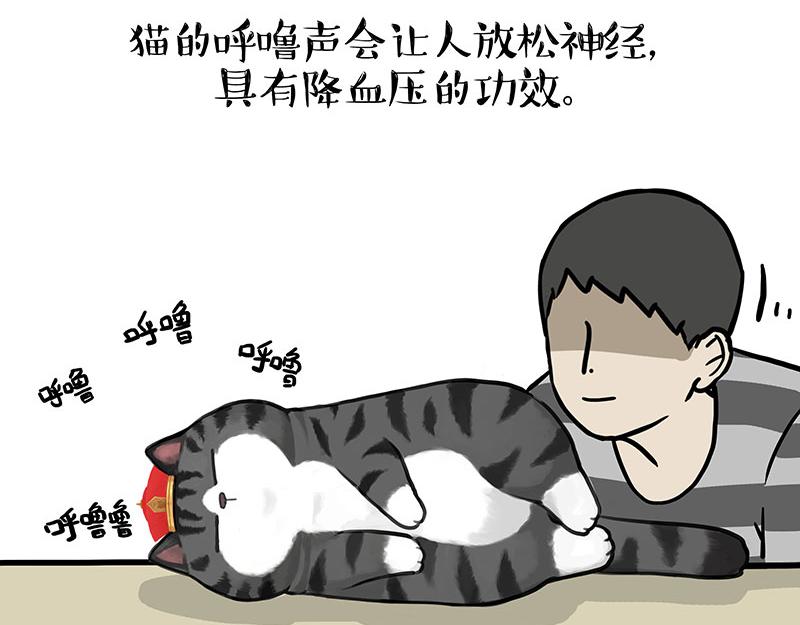 🍘吾皇巴扎黑 第333话 养啥好？ 第5页
