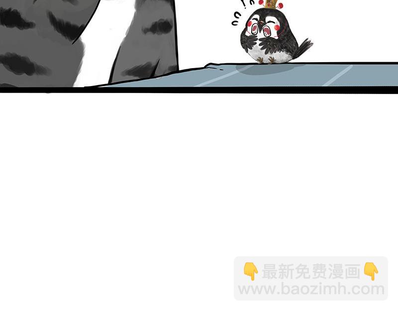 🍘吾皇巴扎黑 第335话 你太菜了 第11页