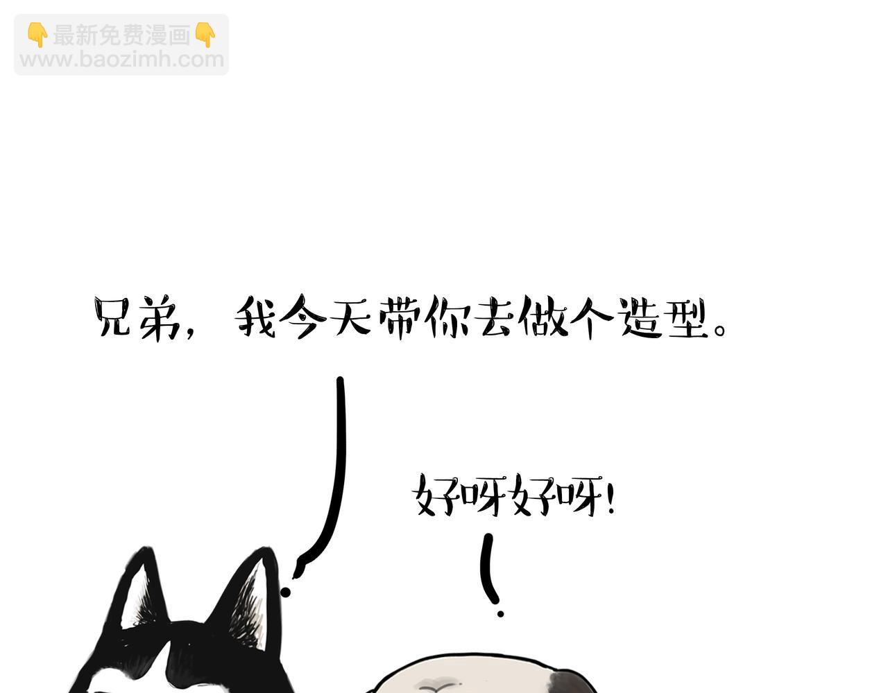 🍘吾皇巴扎黑 第335话 你太菜了 第14页
