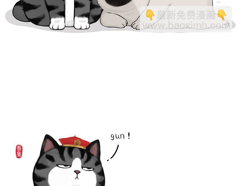 🍘吾皇巴扎黑 第335话 你太菜了 第48页