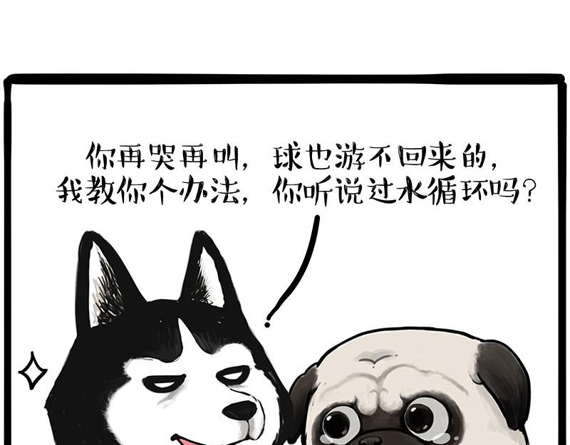 🍘吾皇巴扎黑 第337话 下辈子报仇 第19页
