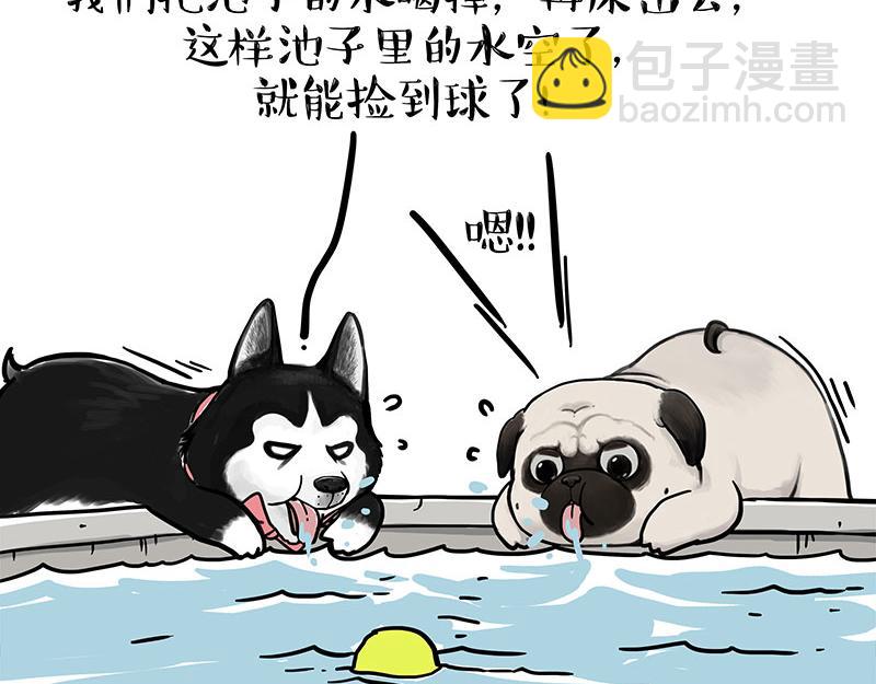 🍘吾皇巴扎黑 第337话 下辈子报仇 第21页