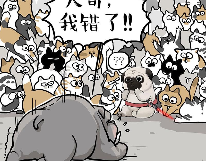 🍘吾皇巴扎黑 第337话 下辈子报仇 第46页