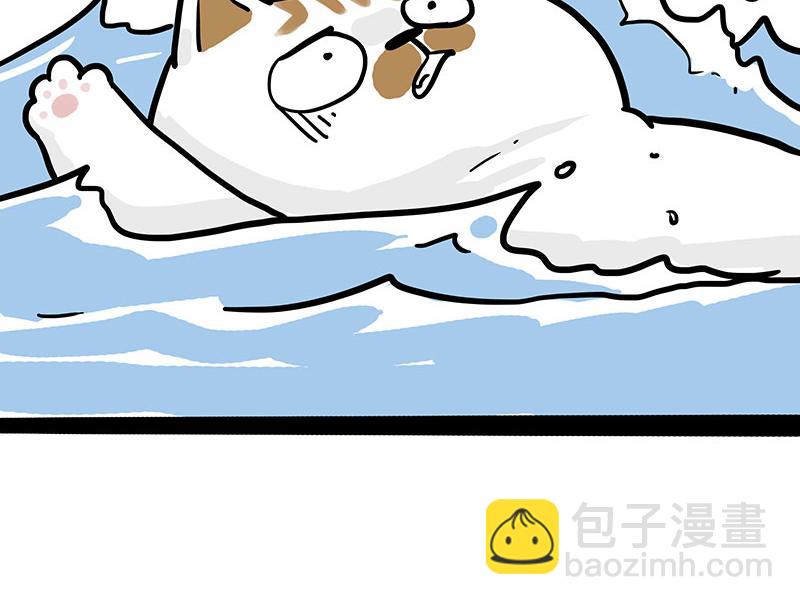 🍘吾皇巴扎黑 第339话 傲霸，上岸了！ 第13页