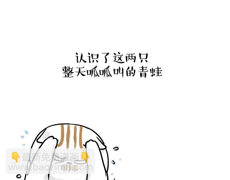 🍘吾皇巴扎黑 第339话 傲霸，上岸了！ 第14页