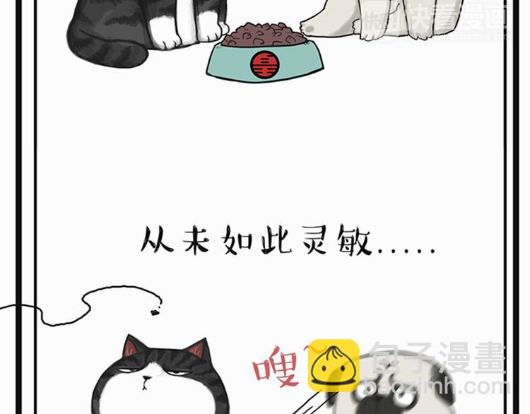 🍘吾皇巴扎黑 第35话 偷吃的鼓手巴扎黑 第26页