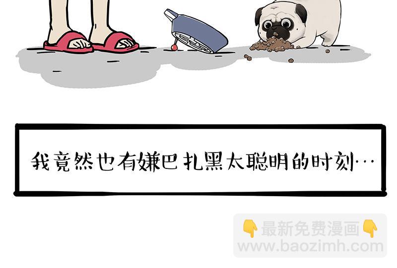 🍘吾皇巴扎黑 第341话 傻狗逆袭 第21页