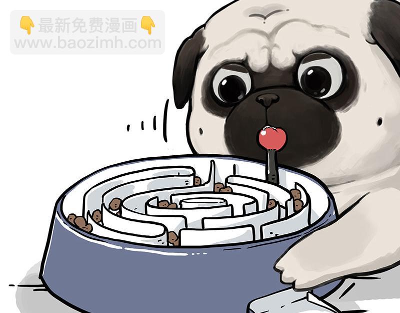 🍘吾皇巴扎黑 第341话 傻狗逆袭 第6页