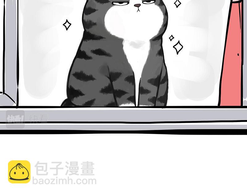 🍘吾皇巴扎黑 第343话 喵生哲学 第11页
