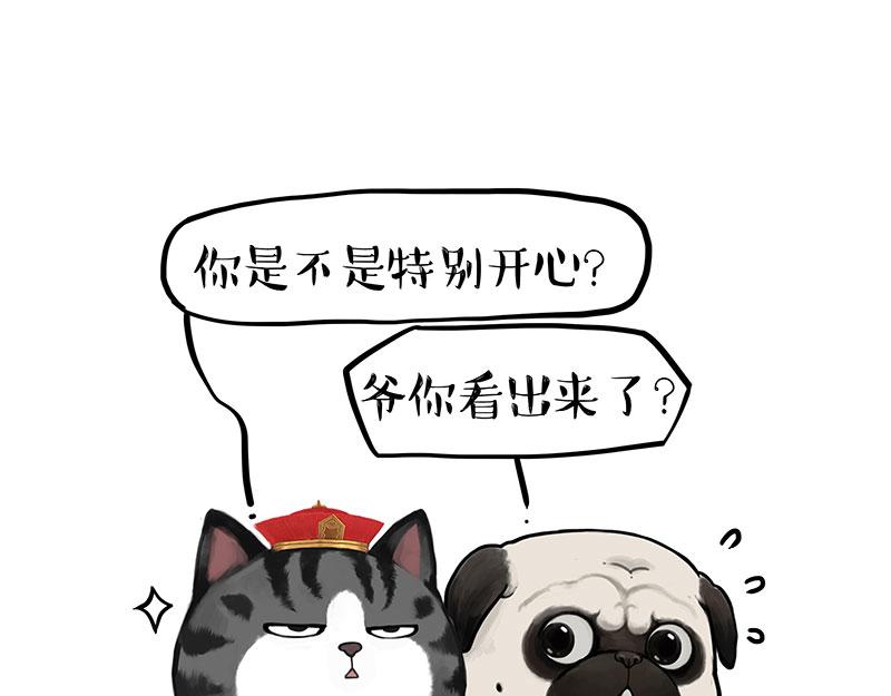 🍘吾皇巴扎黑 第343话 喵生哲学 第13页