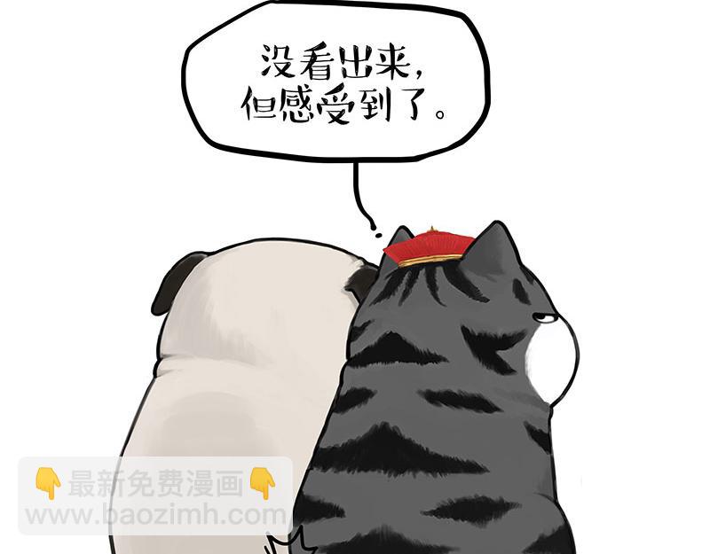 🍘吾皇巴扎黑 第343话 喵生哲学 第15页