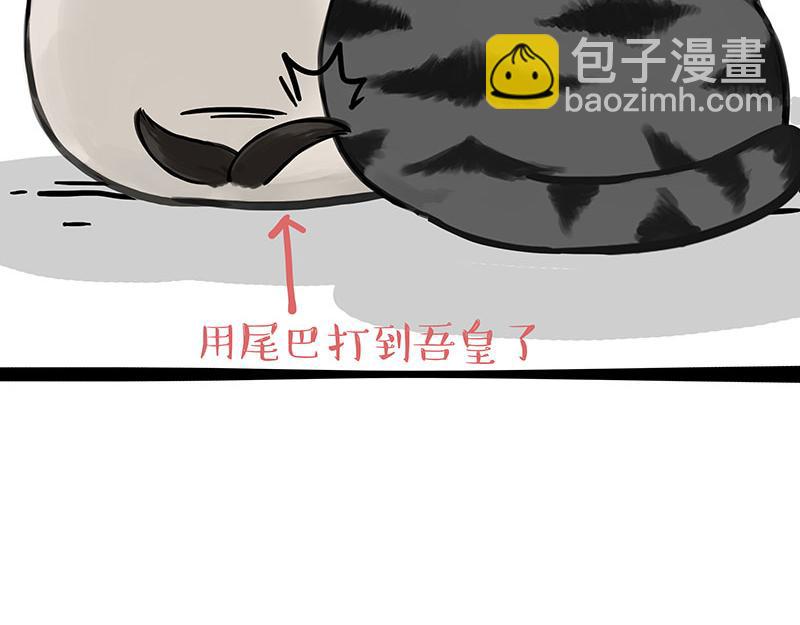🍘吾皇巴扎黑 第343话 喵生哲学 第17页