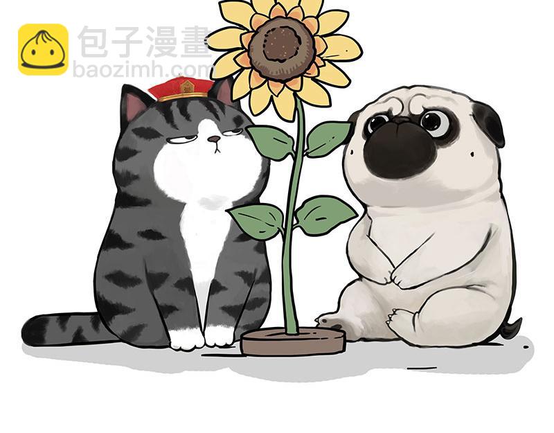 🍘吾皇巴扎黑 第343话 喵生哲学 第28页
